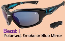 polarised sunglasses for men | neweyeco